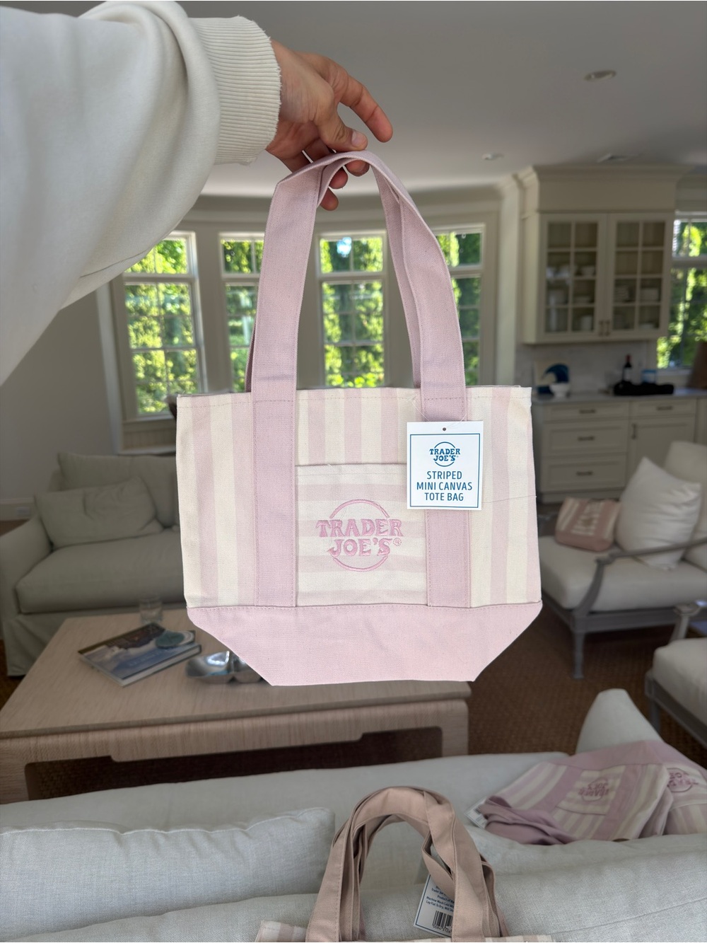 Trader Joe's Baby Pink Striped Mini Canvas Tote 2026